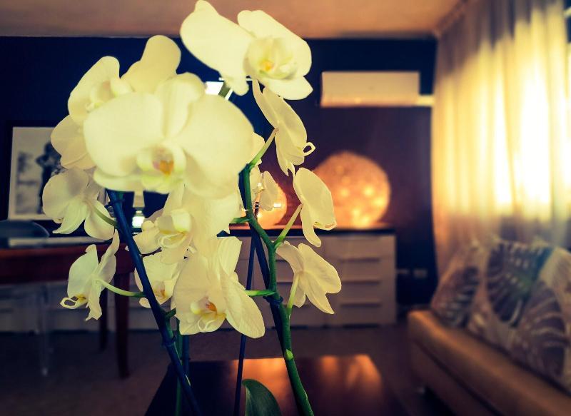 Hotel Caraibi Milano Marittima Luaran gambar
